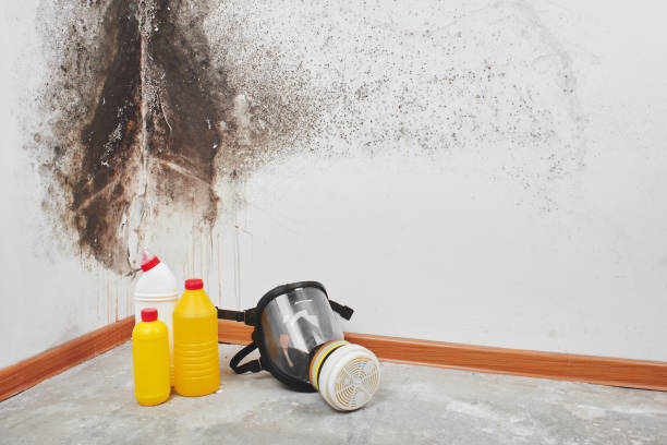 Crawl Space Mold Removal in West Sacramento, CA