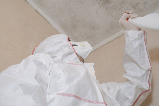 Best Attic Mold Removal  in West Sacramento, CA